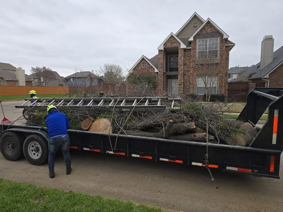 Expert Tree Fertilization with proper safety equipment in Leavenworth